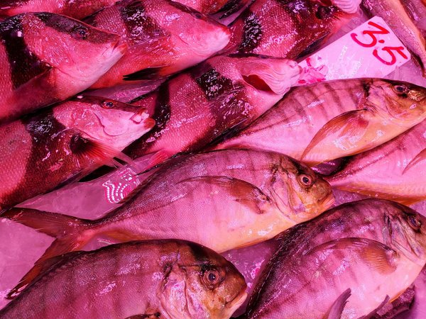 Plongez dans la Révolution du Stress : Techniques de Visualisation Puissantes et Prouvées pour une Gestion Efficace